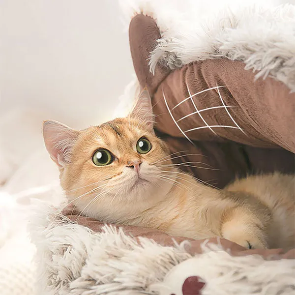 Niedliches Plüsch-Haustierbett in Kontrastfarben für Hunde und Katzen